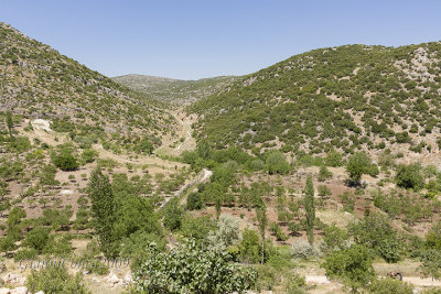 Isikli area