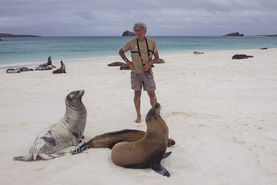 with Sea Lions
