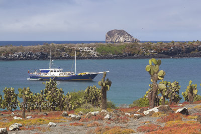 Galapagos Islands 2012
