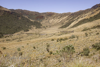 Papallacta pass