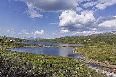 Landskape