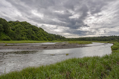 Kasilov River