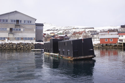 Floating Hide 