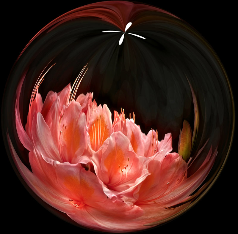 Flower Sphere.jpg