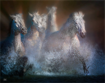 Racing Back to the Stables .....jpg