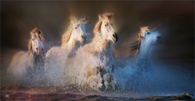 Fleeing the Storm.jpg