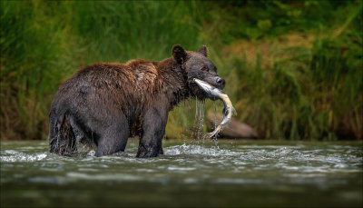 Lunch Caught.jpg