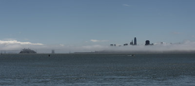 Fog Shrouded SF