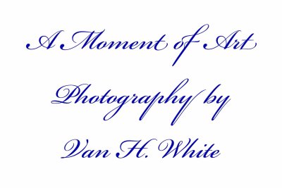 Logo, A Moment of Art Photography
