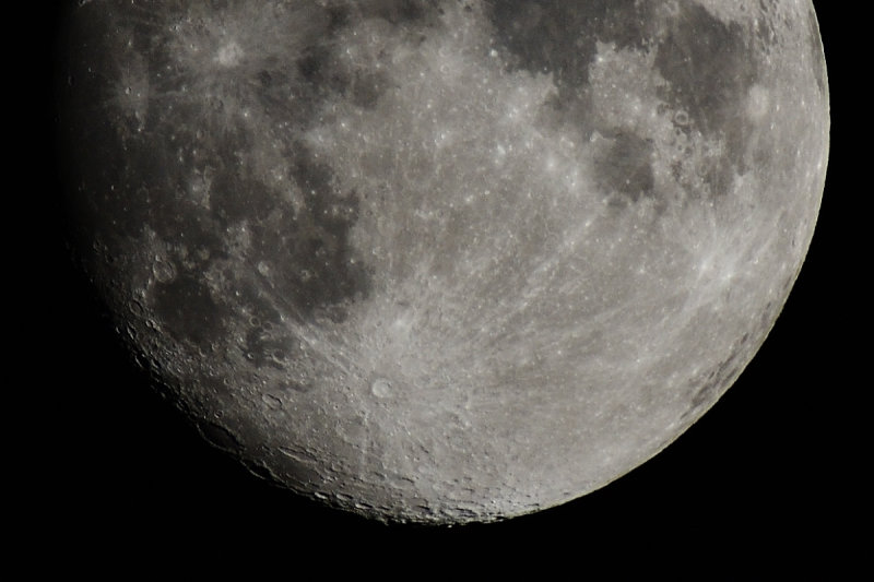 D72_4038001_01.jpg