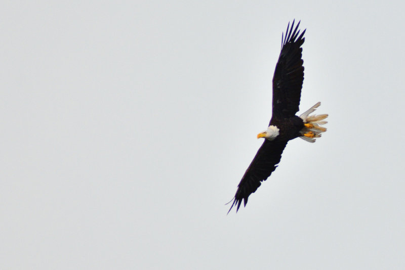 D72_7996-079.jpg