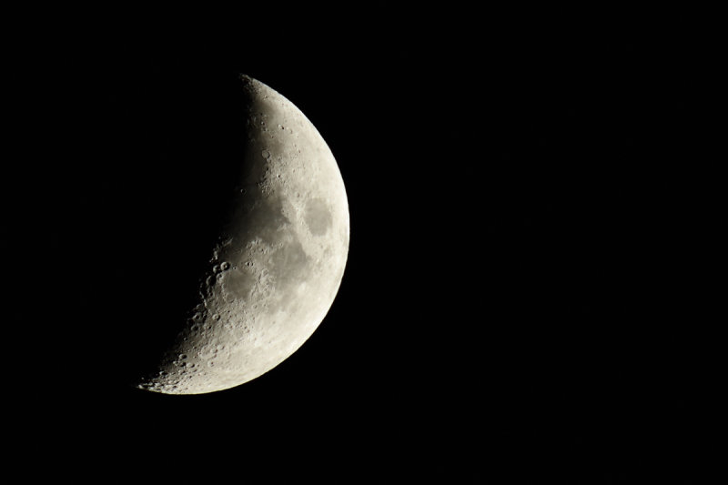 D72_3798001_01.jpg