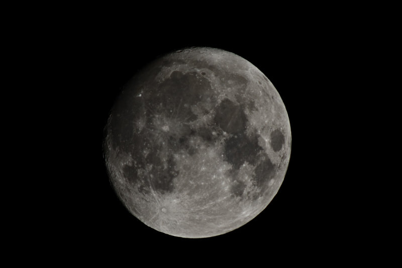 D72_7407001.jpg