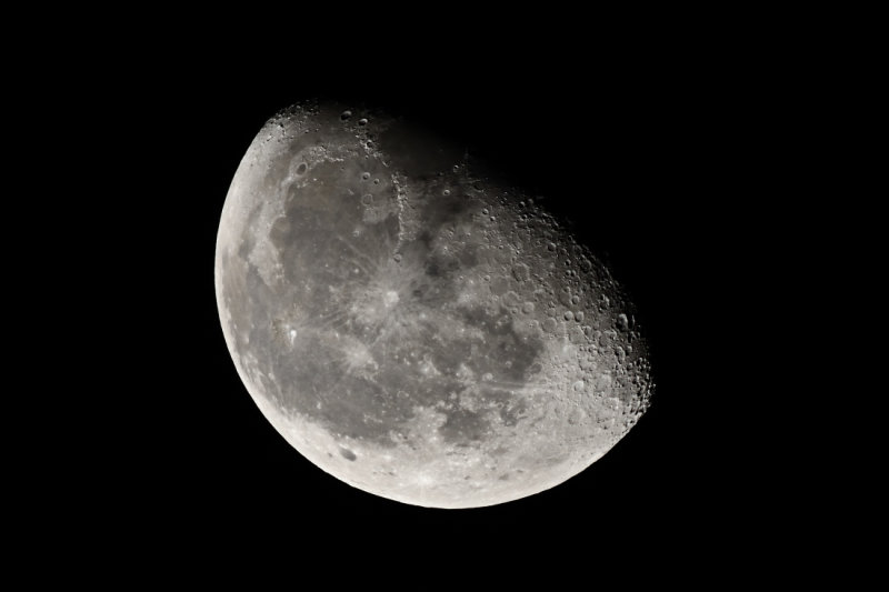 D72_7540012.jpg