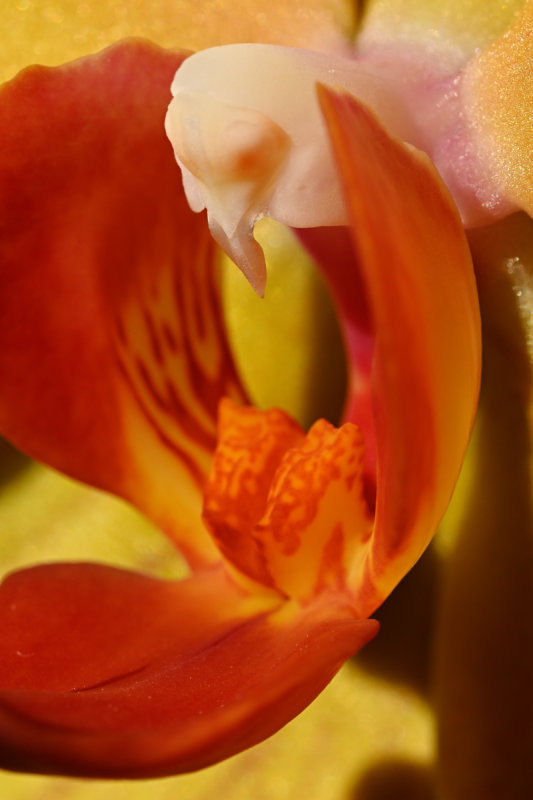 D72_1977006.jpg