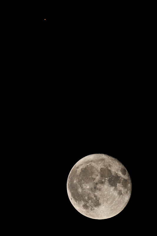 D72_1337-001s.jpg