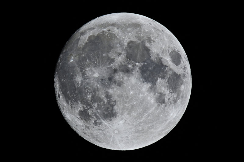 D72_3082_01s.jpg