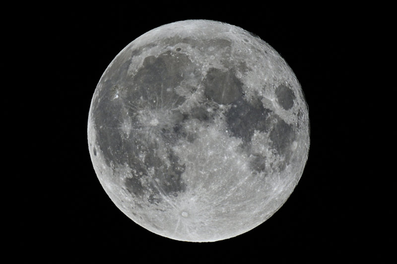D72_3092_02s.jpg