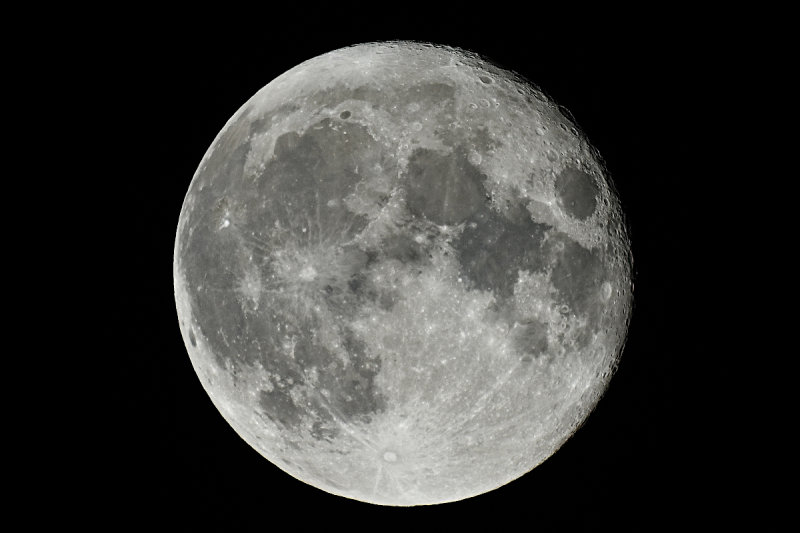 D72_8270_00001_01s.jpg