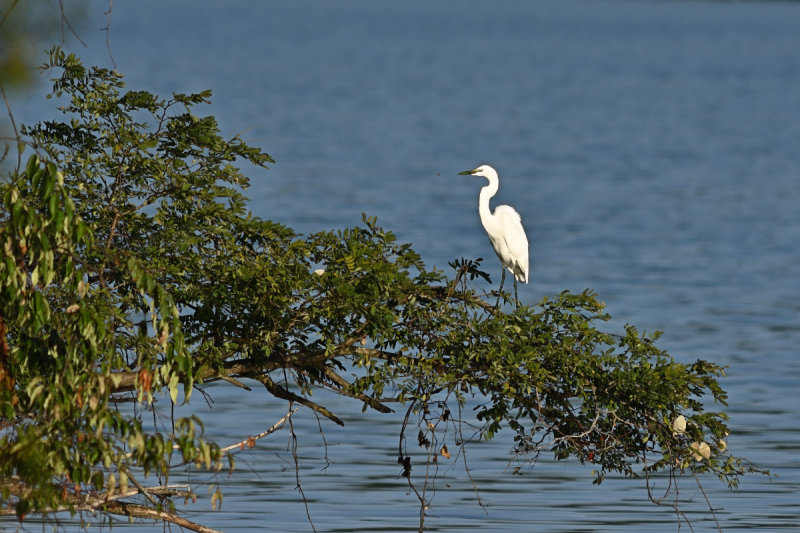 D72_8772_00044.jpg