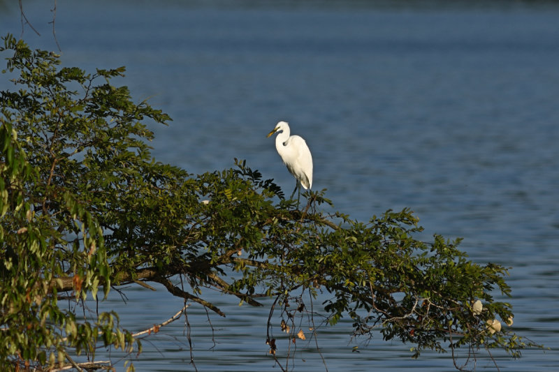 D72_8784_00045.jpg