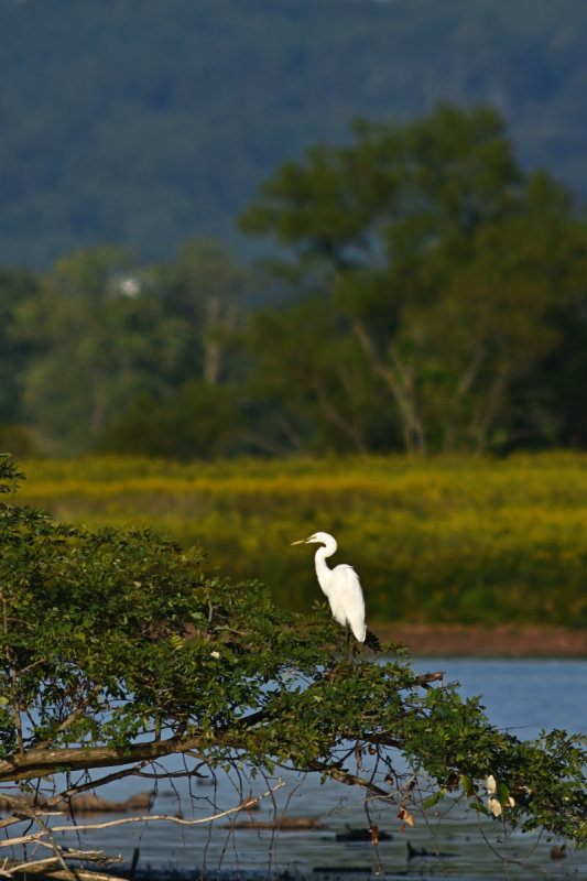D72_8840_00050.jpg