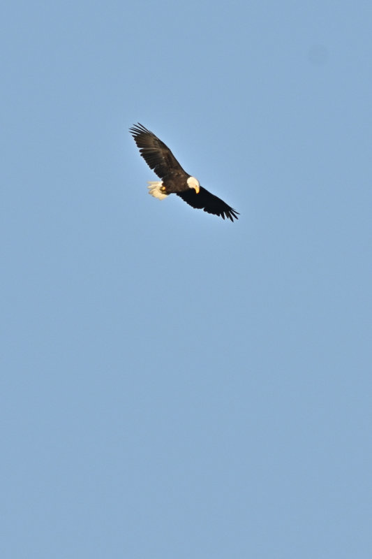 D72_8902_00053.jpg
