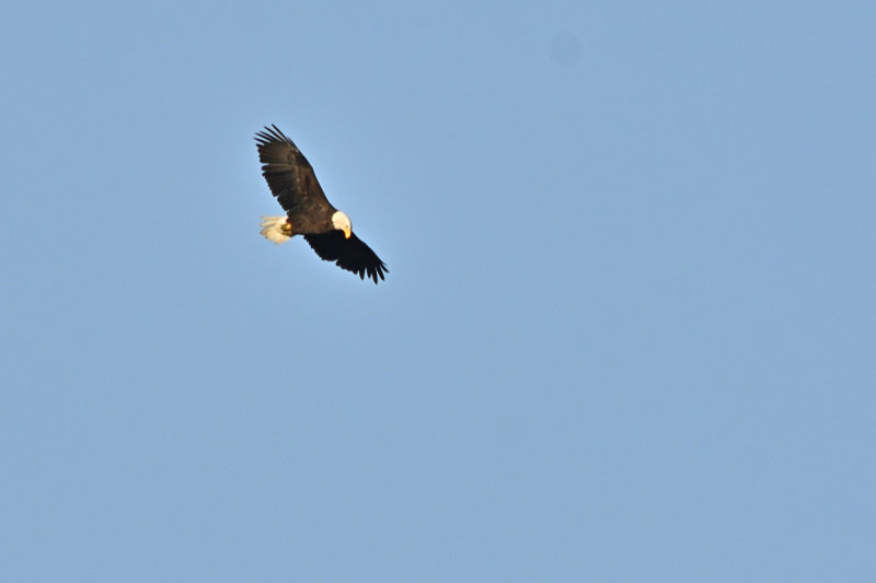 D72_8905_00054.jpg