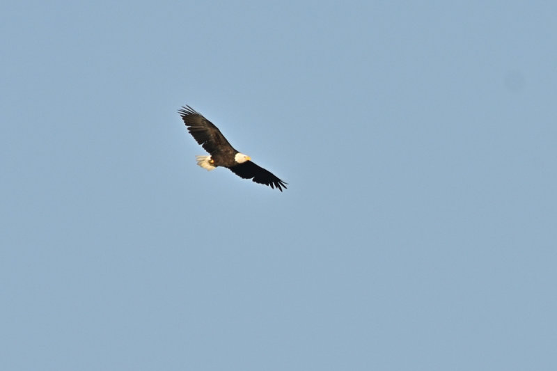 D72_8919_00055.jpg