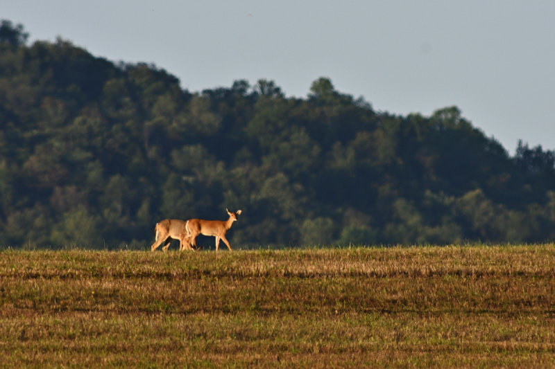 D72_8936_00058.jpg