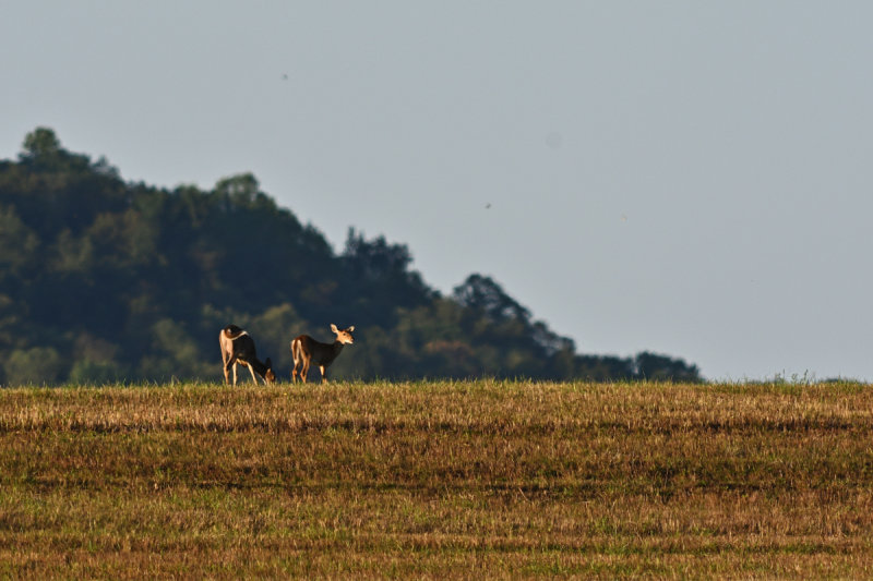 D72_8943_00059.jpg