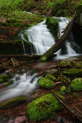 D72_1397005s.jpg