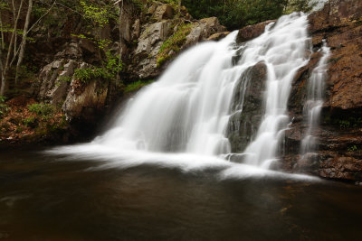 D72_1627004s.jpg