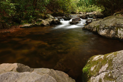 D72_1674008s.jpg