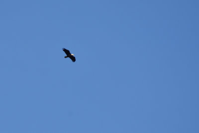 D72_3437-040.jpg