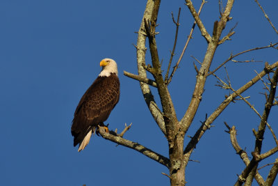 D72_3504-055.jpg