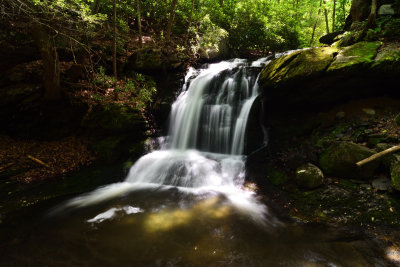 D72_3229004.jpg