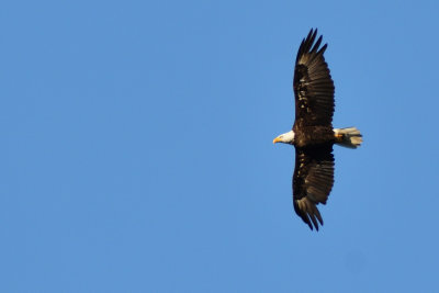 D72_5515-006.jpg