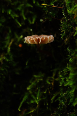 D72_5989-002.jpg