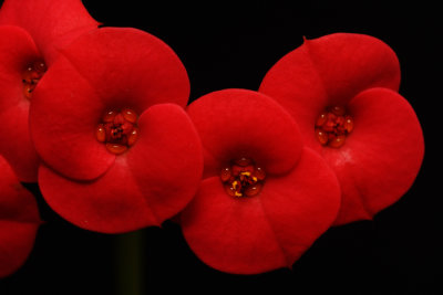D72_8314005.jpg