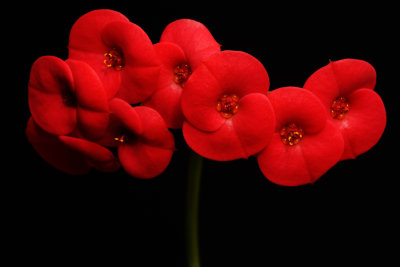 D72_8325007.jpg