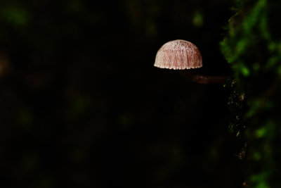 D72_8777-006.jpg