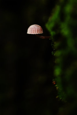 D72_8783-007.jpg