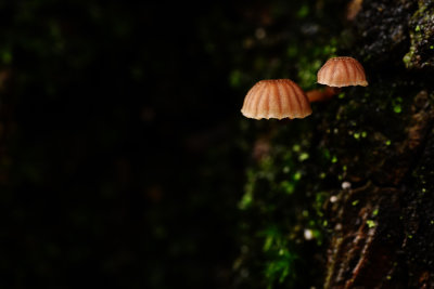 D72_8873-013.jpg