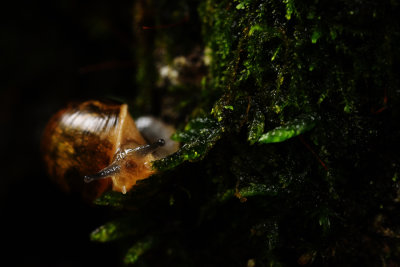 D72_8909-016.jpg
