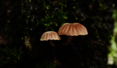 D72_8973-025.jpg