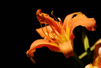 D72_9002001.jpg