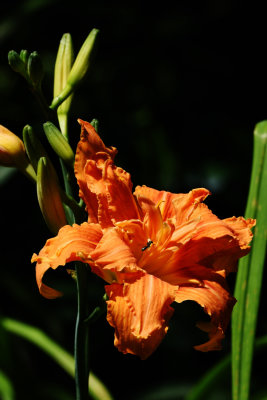 D72_9024002.jpg