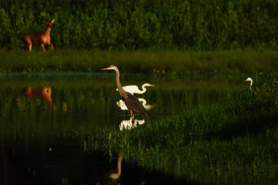 D72_9478-036.jpg