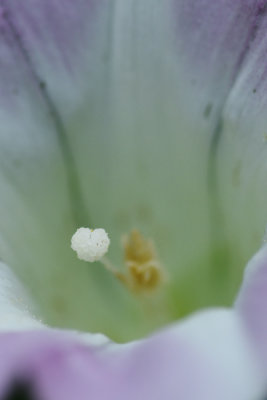 D72_9986017.jpg